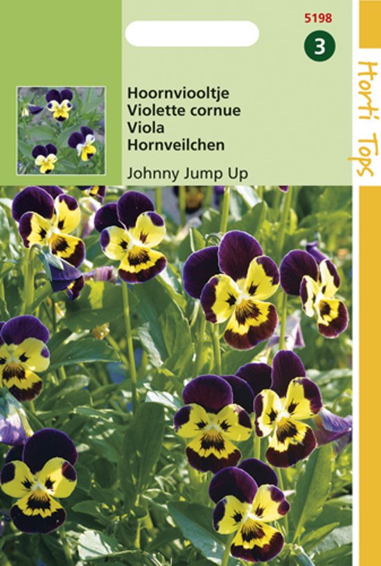 Hornveilchen Johnny Jump Up (Viola cornuta) 1500 Samen HT